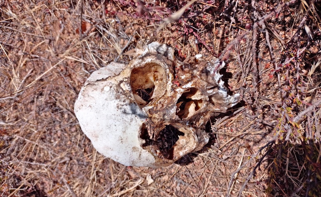 Hallan más restos óseos cerca de donde encontraron siete cadáveres