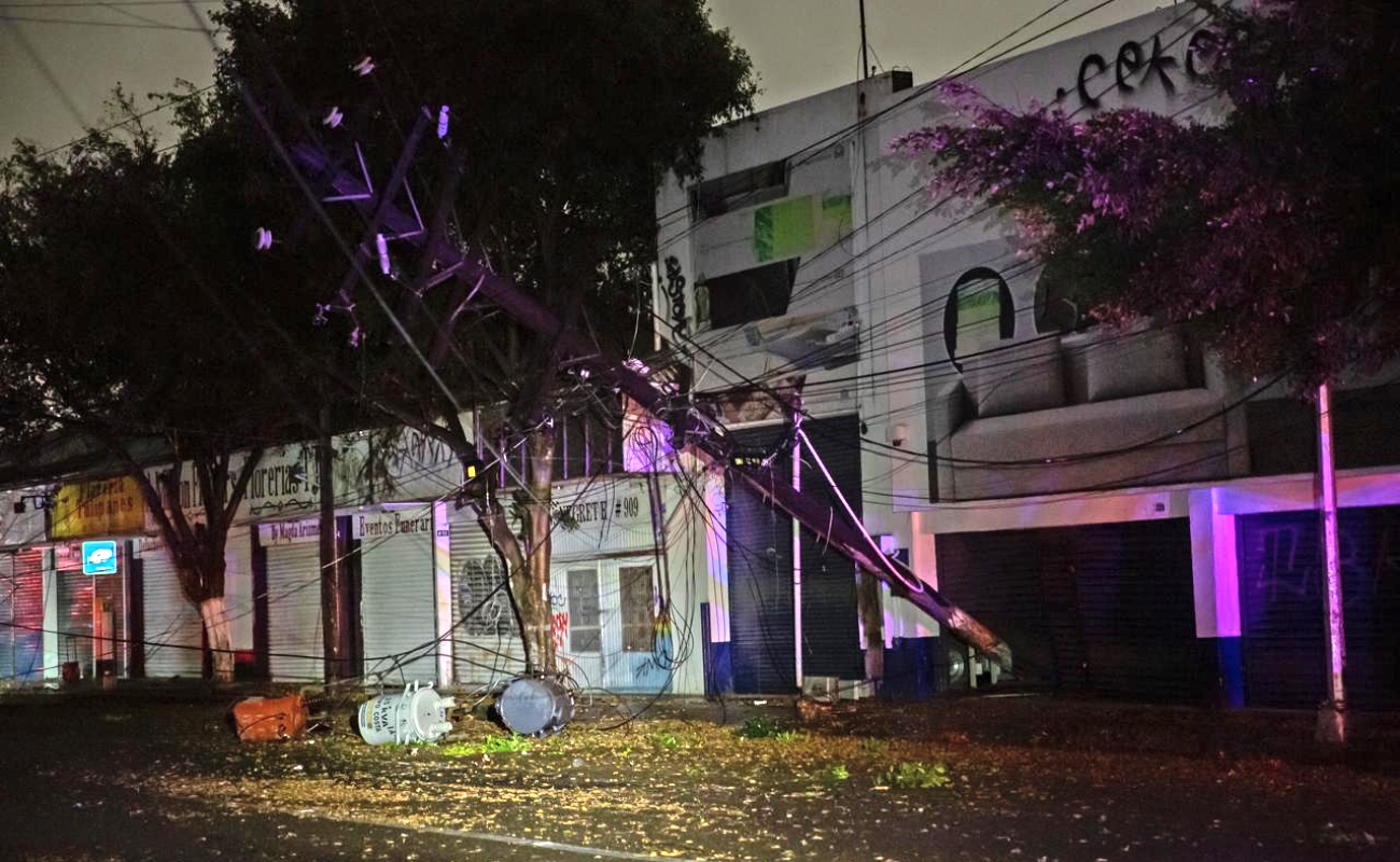 Vientos y lluvia dejan árboles, techos y postes caídos en Tijuana