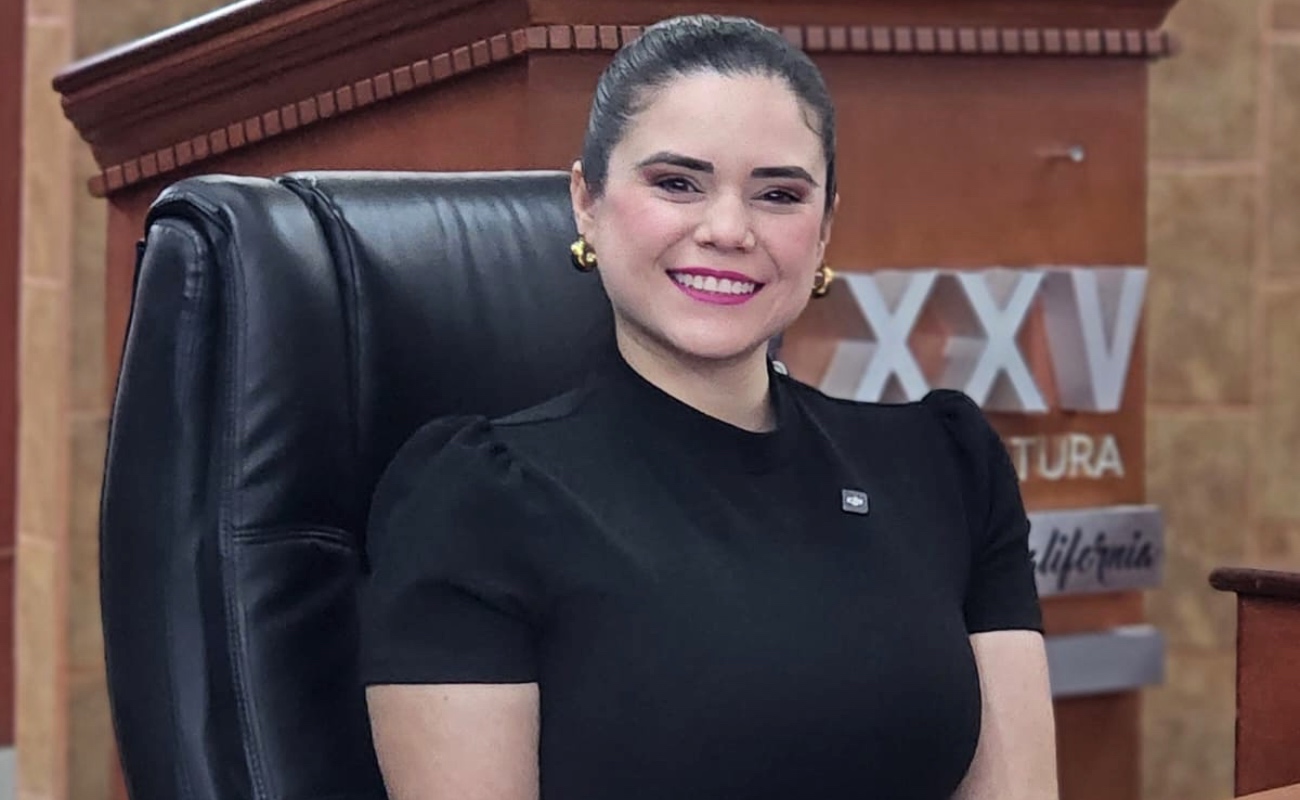 Dip. Daylín García propone ley de videovigilancia