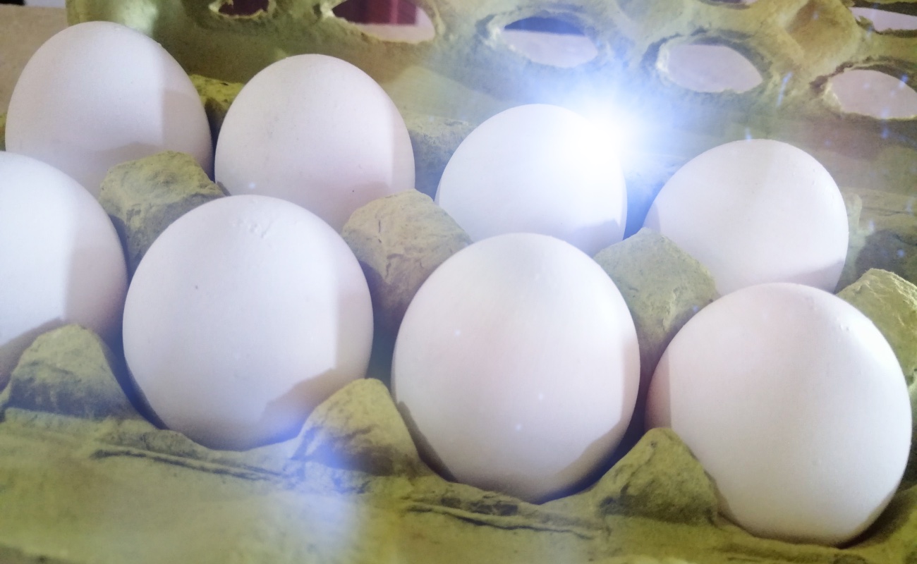 Aumento de huevo y otros productos por comportamiento del dólar