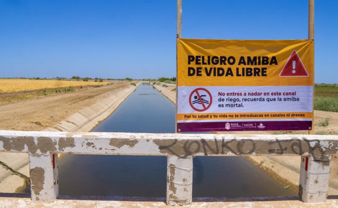 Alertan de presencia de la Amiba de Vida Libre en canales del valle de Mexicali