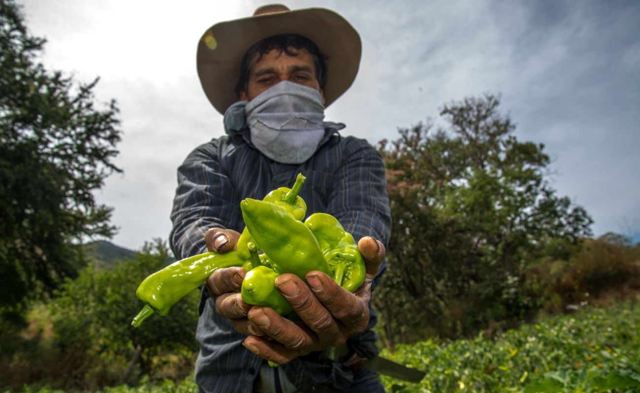 Con la participación de 12 países, realizará Agricultura 3er Congreso Interamericano de Agua, Suelo y Agrobiodiversidad