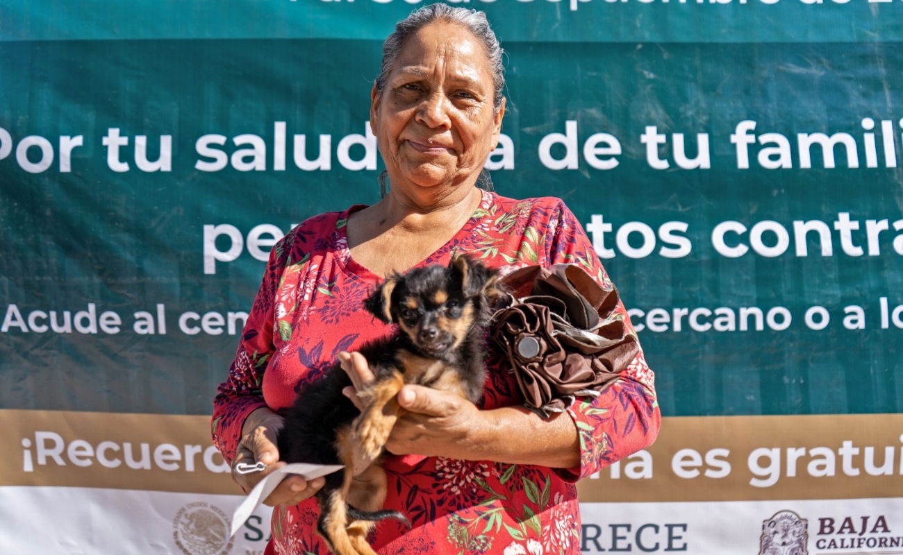 Se une Baja California a la jornada nacional de vacunación antirrábica canina y felina 2023