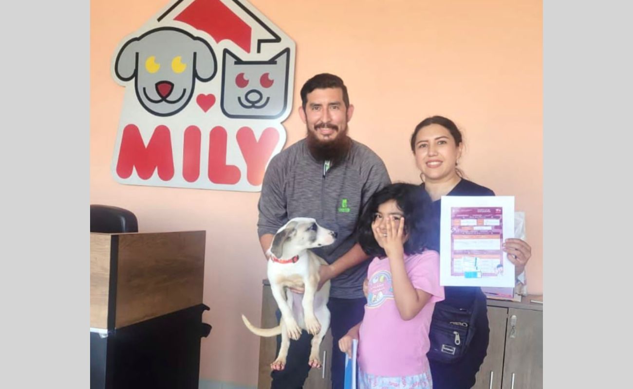 Sapito encuentra un nuevo hogar, luego de rehabilitarse en Santuario Animal “Mily”