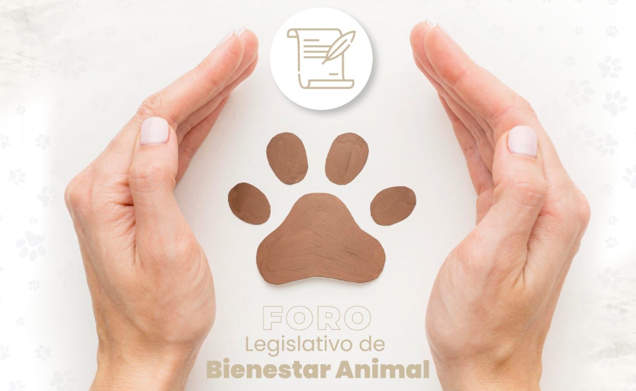 Invita XXIV Ayuntamiento Foro Legislativo de Bienestar Animal