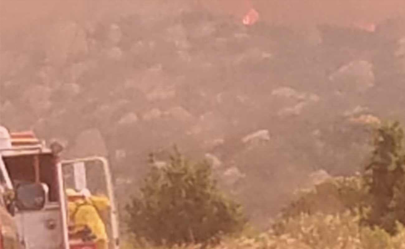 Controlan en un 80 por ciento el incendio en Valle de las Palmas