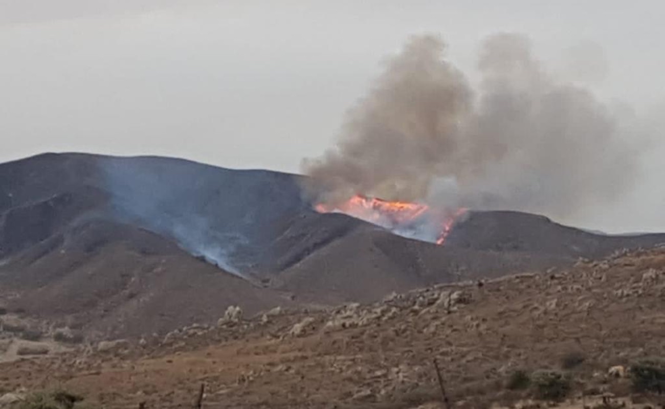 Incendio de Valle de las Palmas se desplaza hacia Natura
