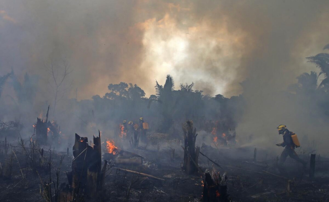 América del Sur enfrenta récord histórico de incendios forestales en 2024