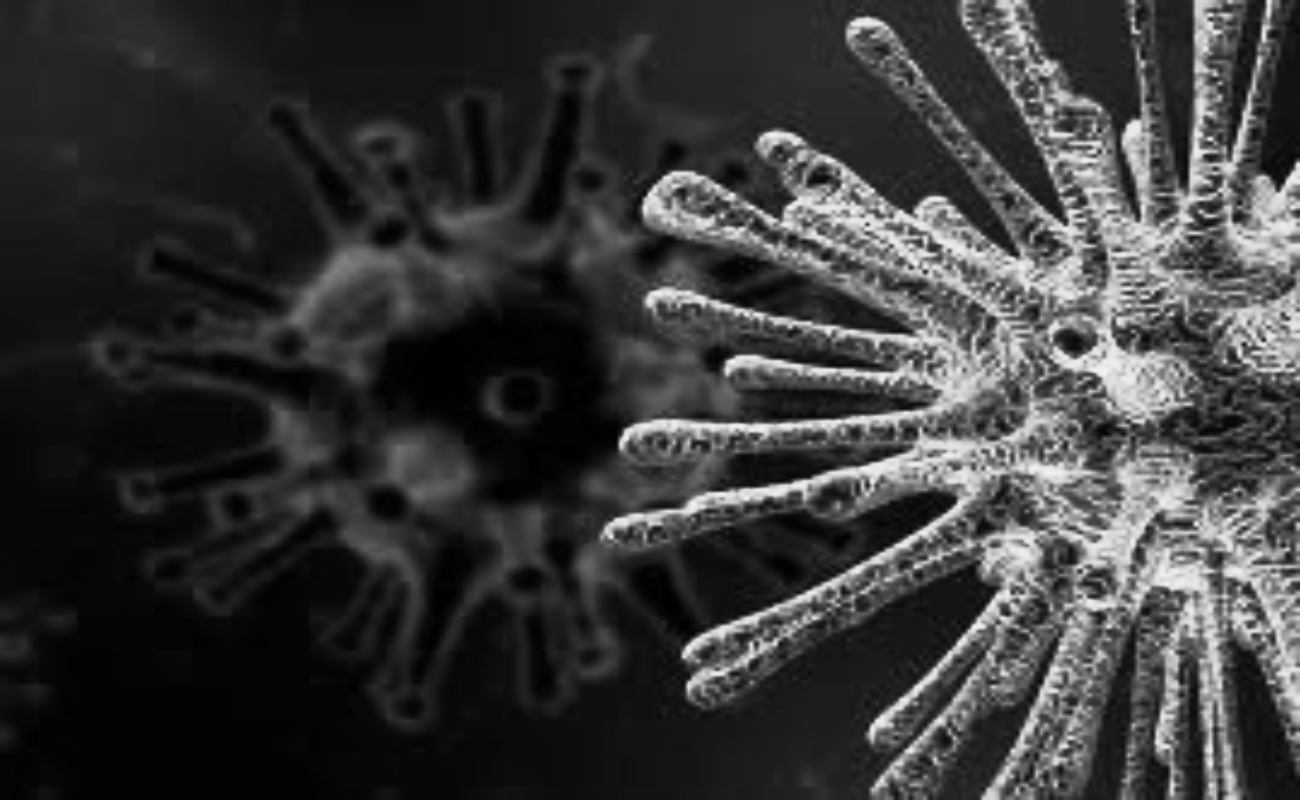 Revelan posibilidad de contagio de coronavirus en incubación