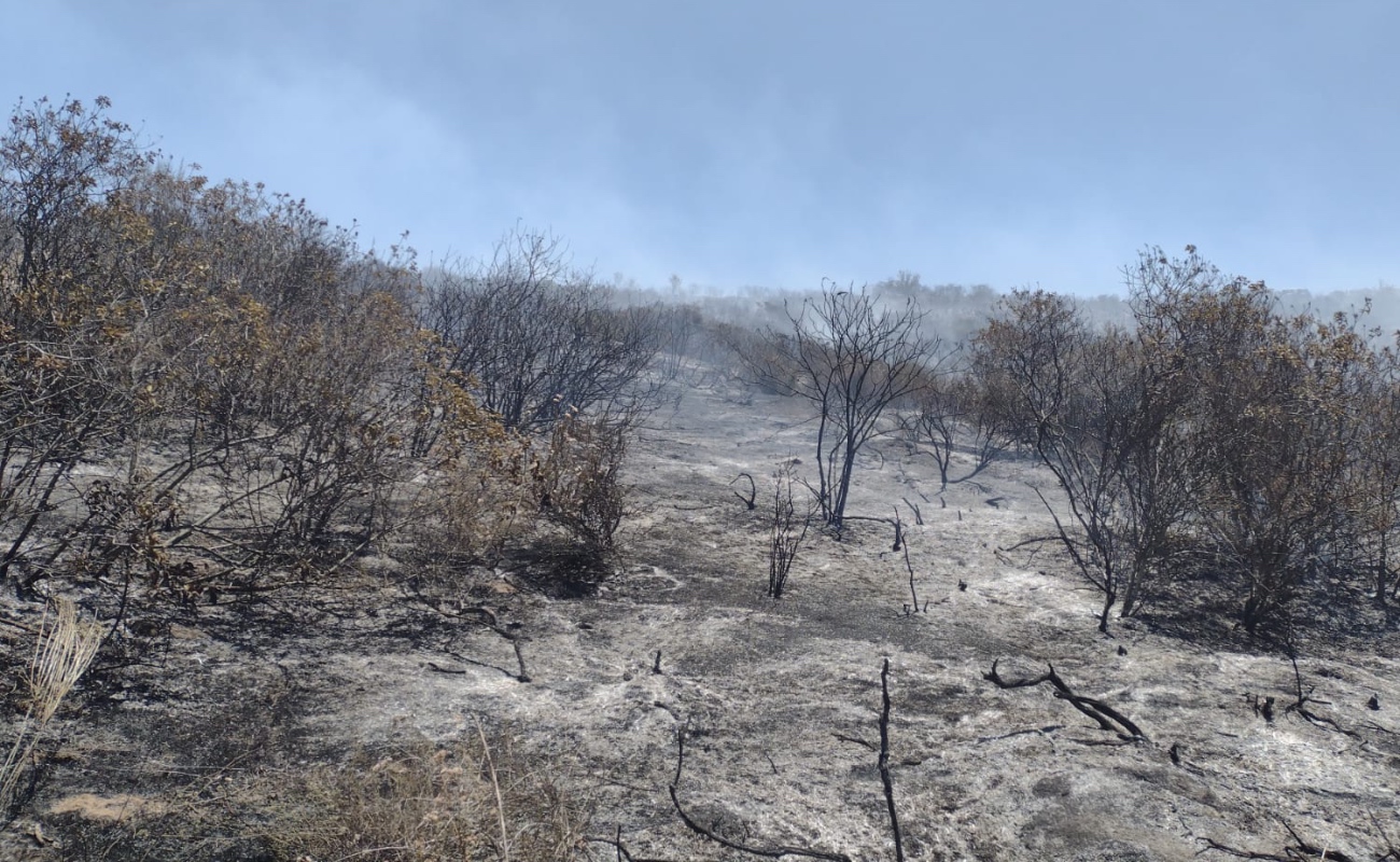 Proyecta Dirección de Bomberos incremento del 65 % en incendios forestales