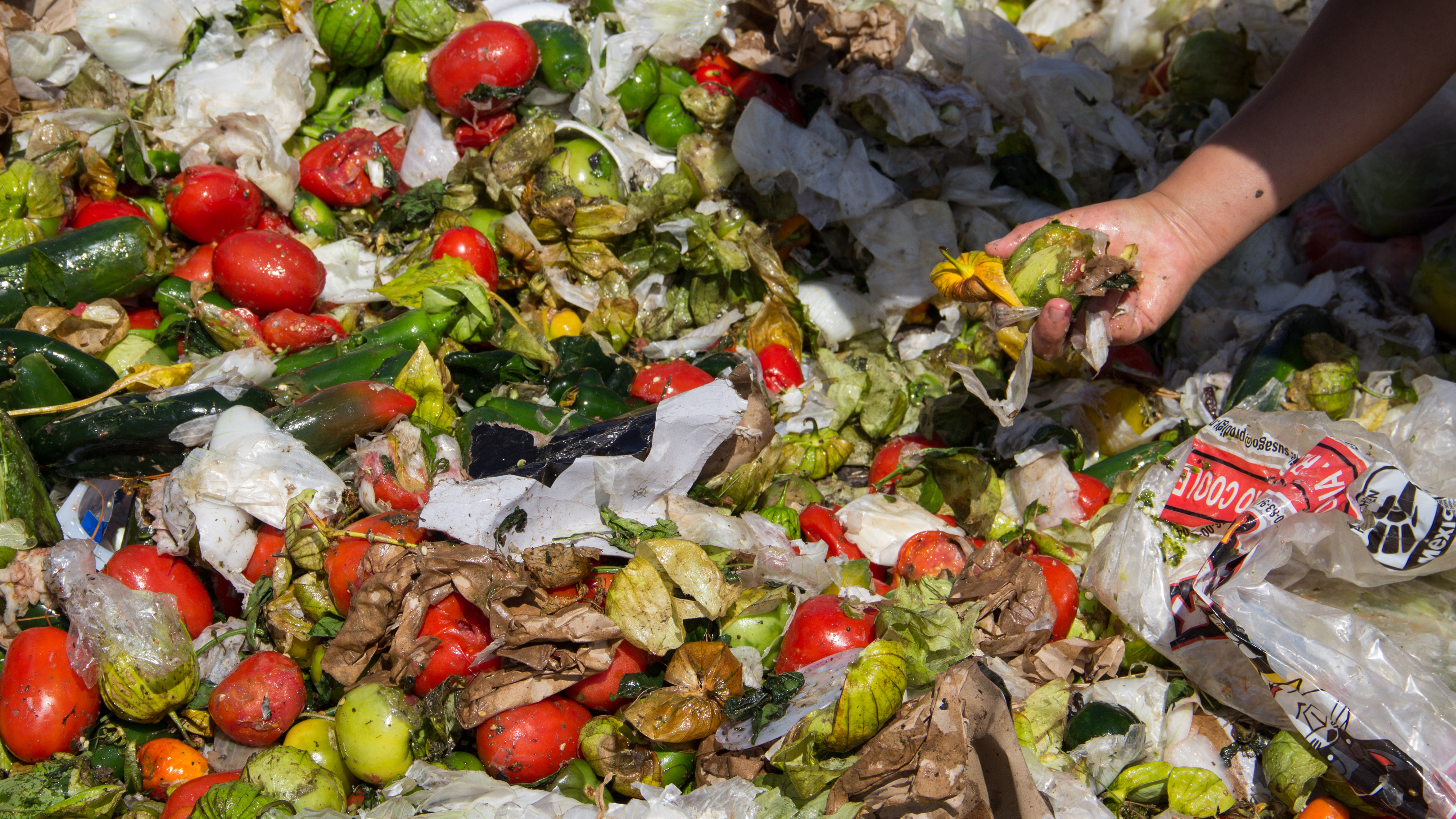 Reducir desperdicio de alimentos ayudará al medio ambiente FAO