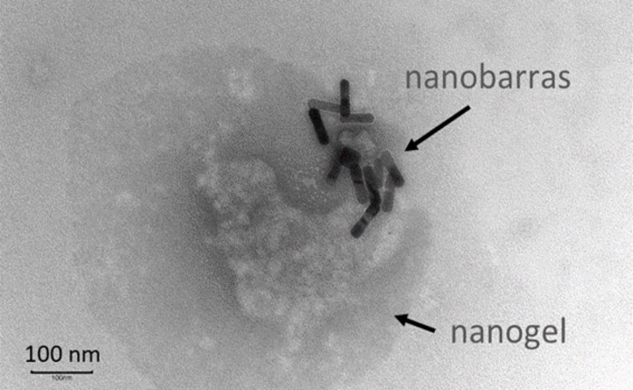Nanoterapias que apuntan hacia las células cancerosas, esperanza de vida