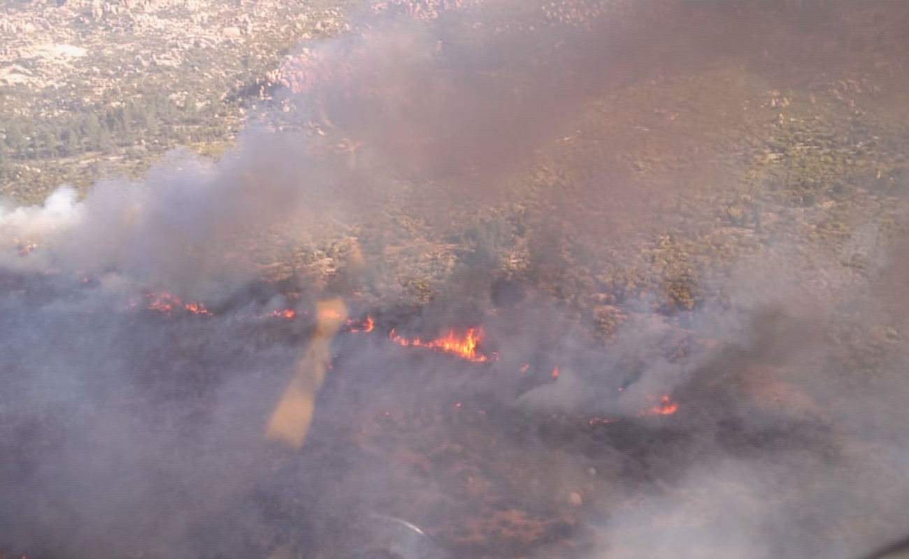 Arden 2 mil 500 hectáreas en Sierra de Juárez; 30% de control