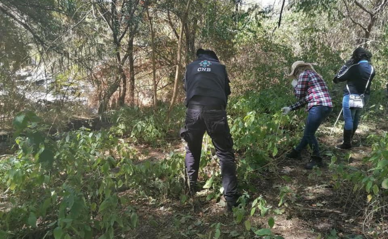 Encuentran los restos de al menos 59 personas en fosas clandestinas en Guanajuato