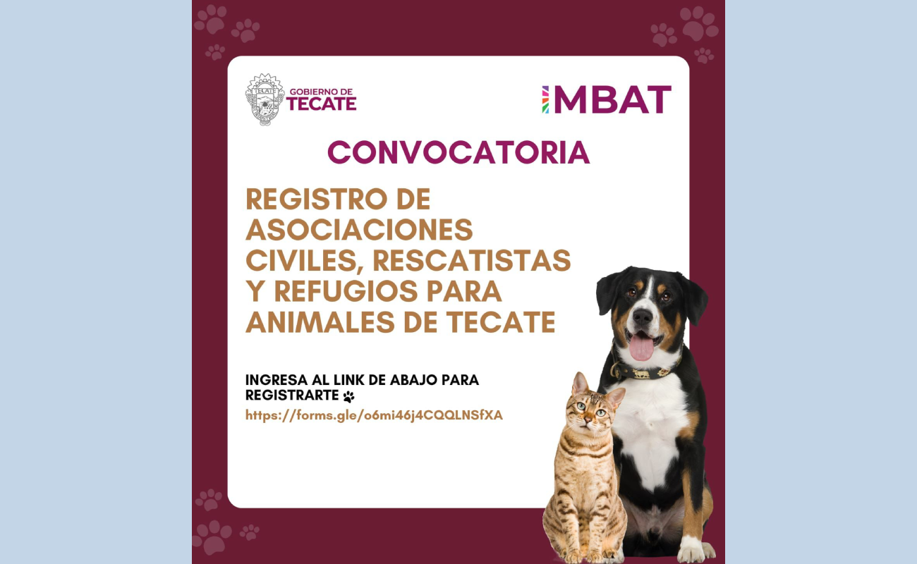 Abusamos de la tecnología
