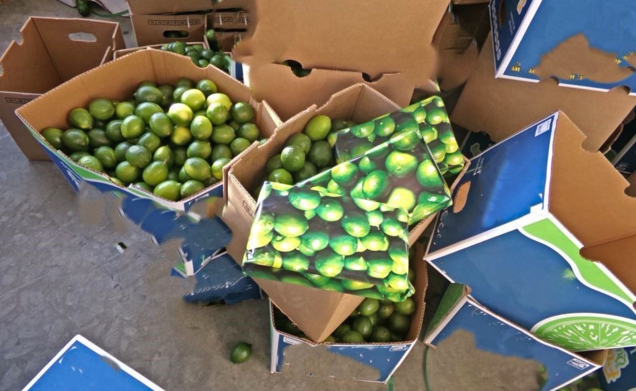 Aseguran 197 kilos de cocaína en cargamento de limones