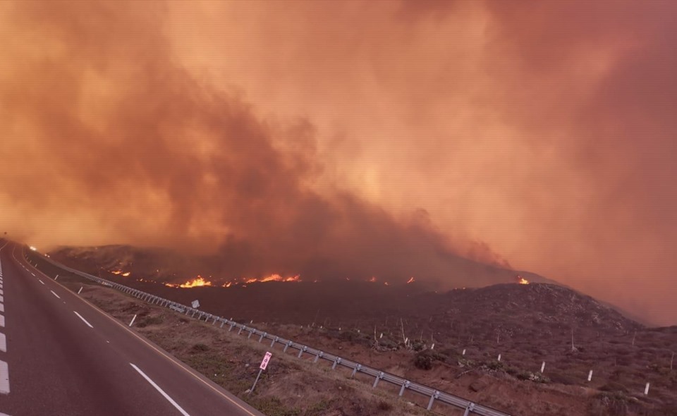 Reporta Ensenada 100 casas quemadas por incendio forestal en La Misión