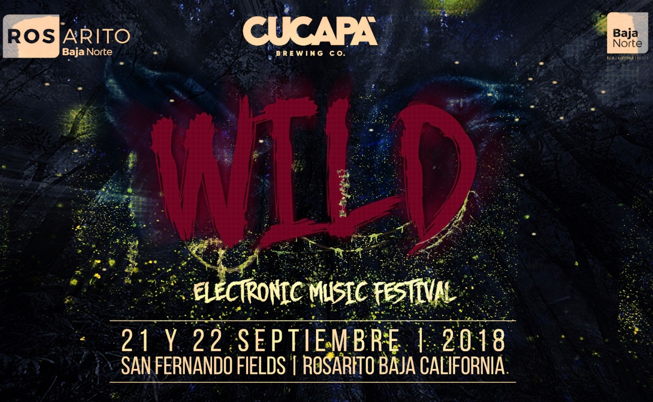 Alertan sobre festival de música electrónica en Playas de Rosarito
