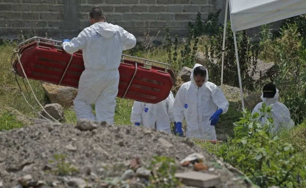 Localizan restos de 23 personas en zona pantanosa de Michoacán