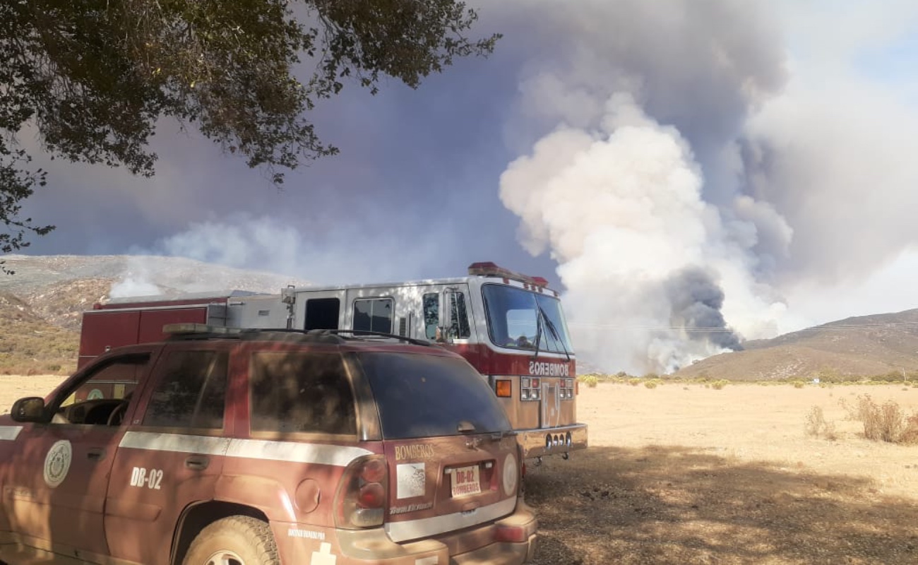 Se mantiene activo incendio forestal en San Antonio de las Minas
