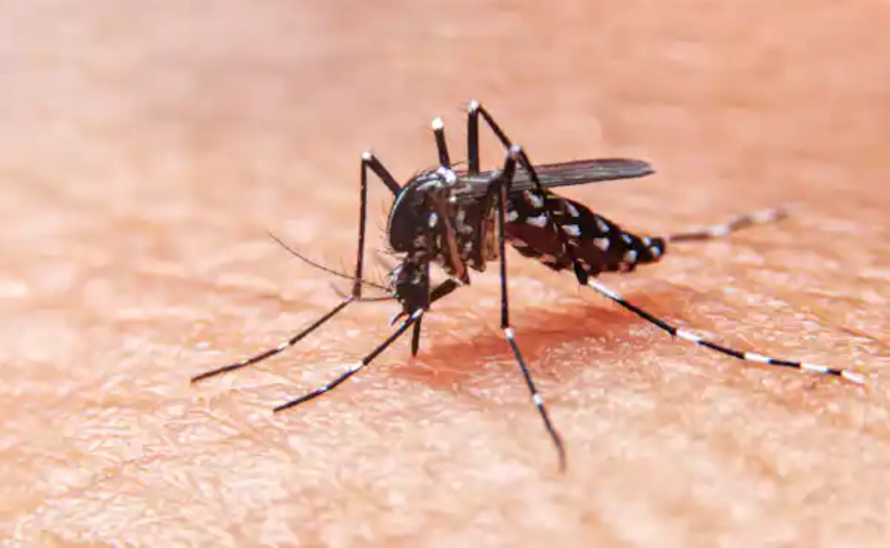 Alertan por aumento de 385% en casos de dengue en México por temporada de huracanes