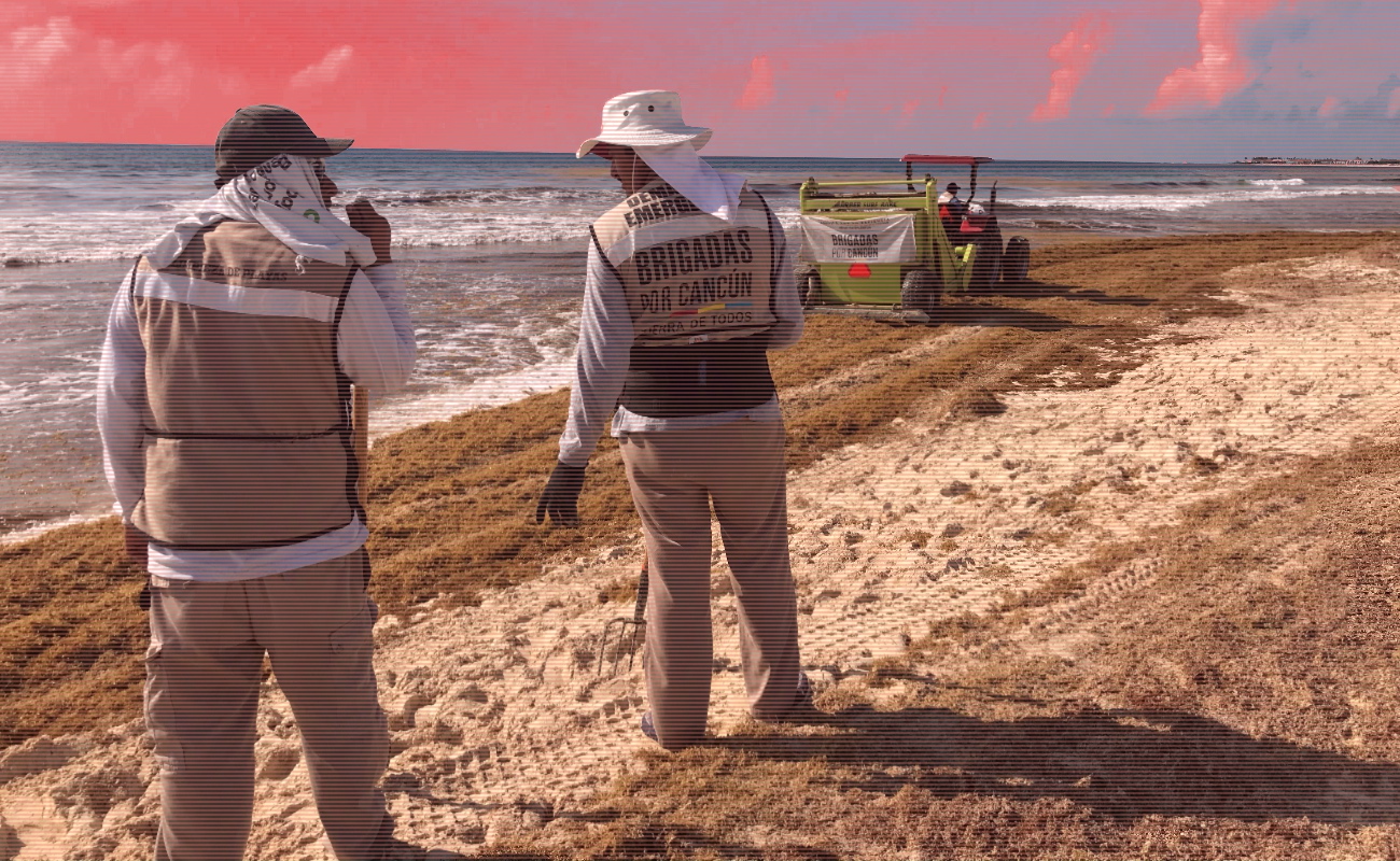 En mes y medio se resolverá problema de sargazo en el Caribe mexicano: Semar