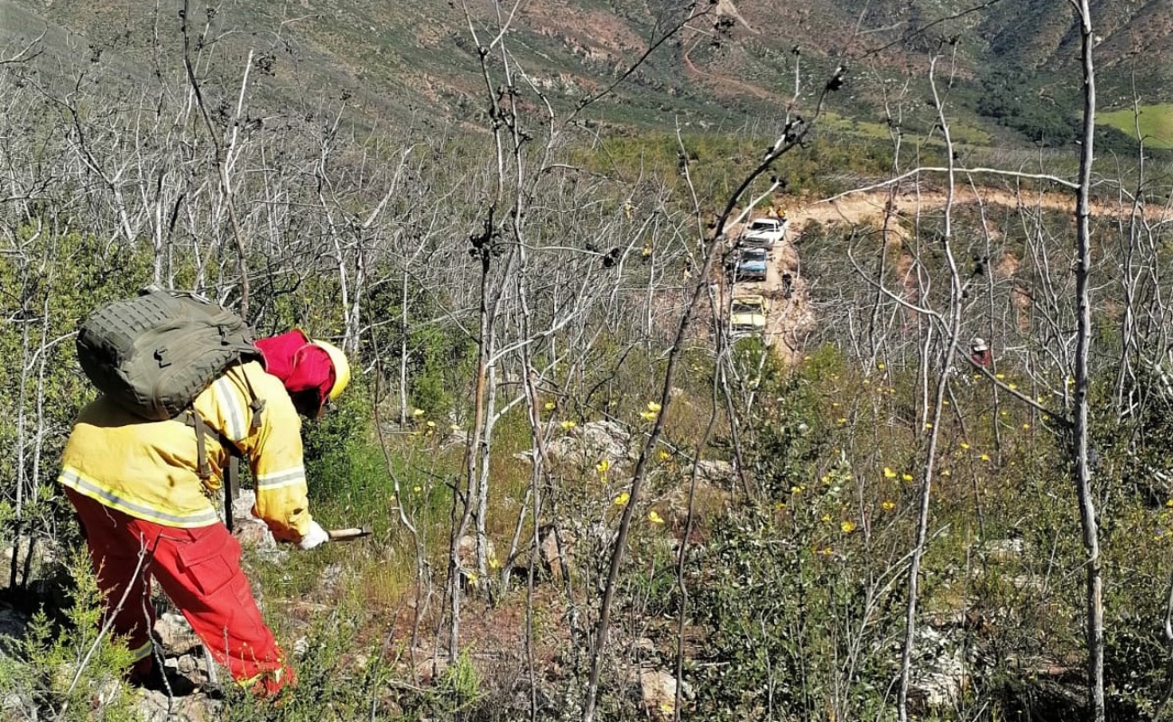 Realizan jornada de limpieza en Bosque de los Attenuatas para prevenir incendios forestales