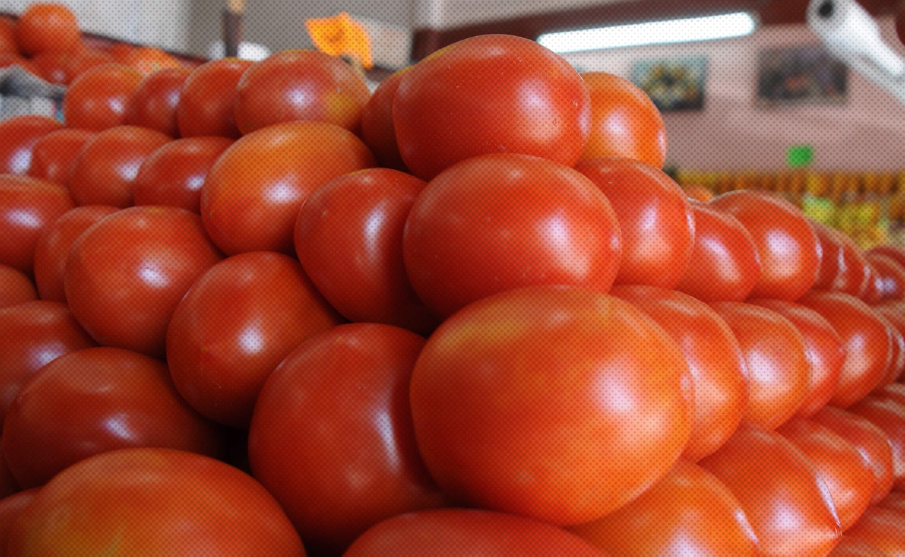 Exportadores mexicanos de tomates libran arancel de Estados Unidos