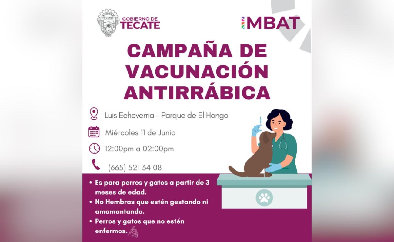 Abusamos de la tecnología