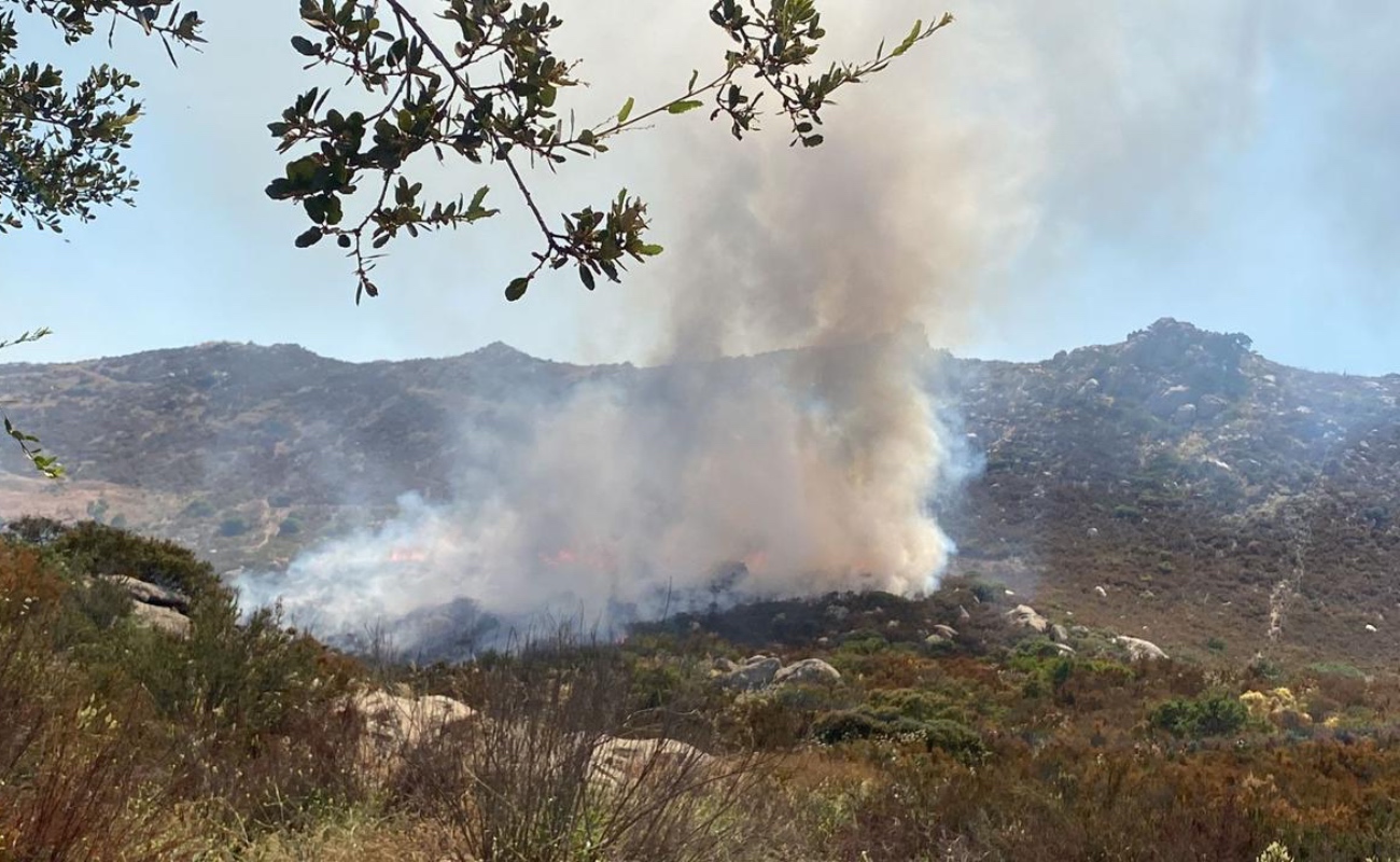 Afecta cinco hectáreas incendio en Tecate