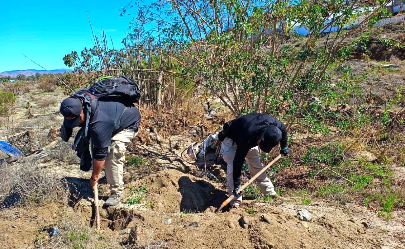 Madres buscadoras hallan cinco cuerpos calcinados en San Quintín