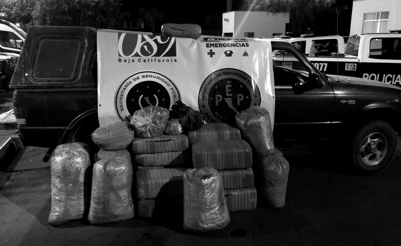 Decomisa PEP 230 kilos de marihuana en Ensenada