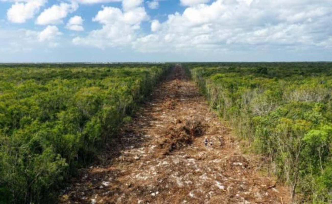 Concede Juez suspensión definitiva a obras del Tramo 5 Sur del Tren Maya