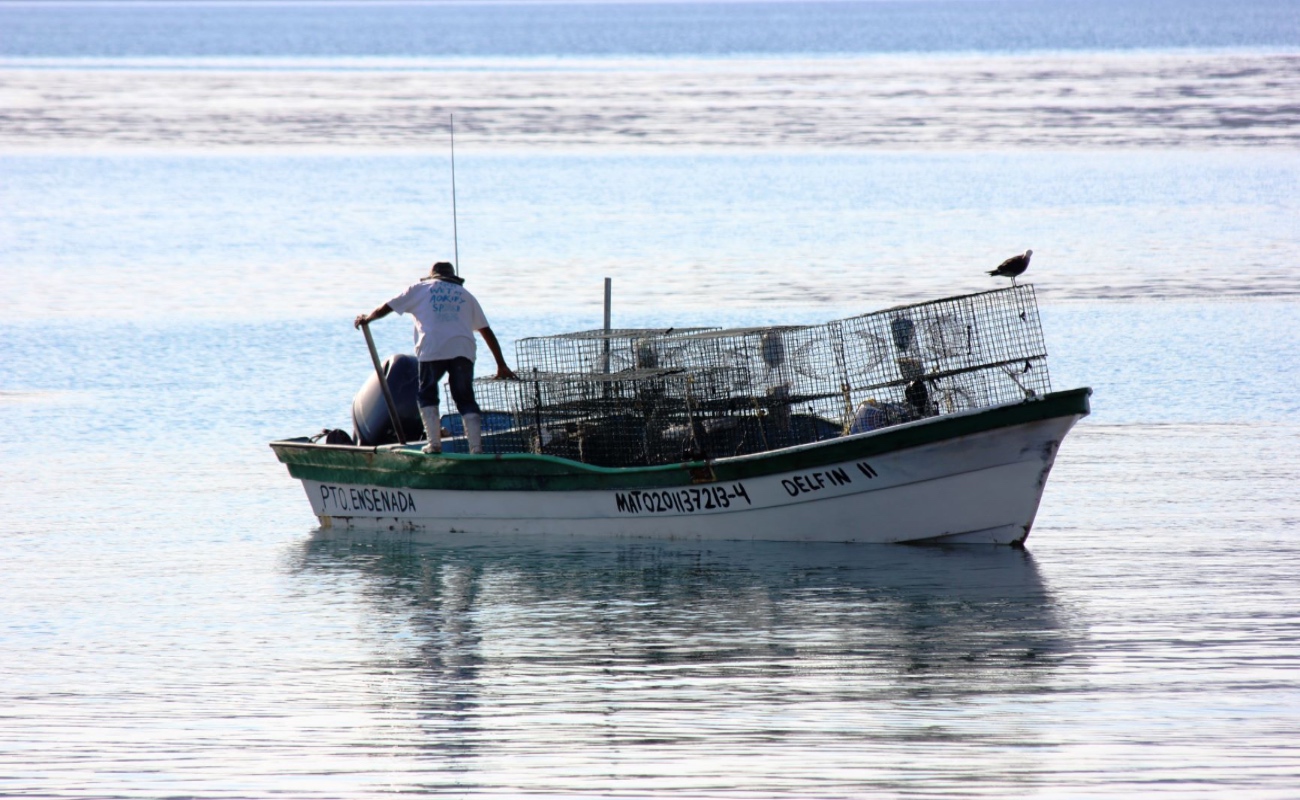 Agilizarán solución de las necesidades del sector pesquero