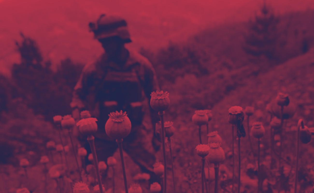 Erradican soldados 16 plantíos de amapola