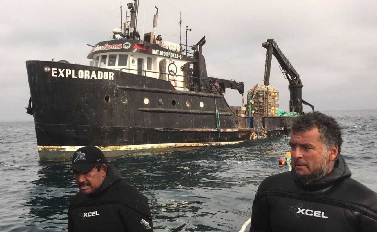 Se hunde buque sardinero en Isla Coronado; tripulación sale ilesa