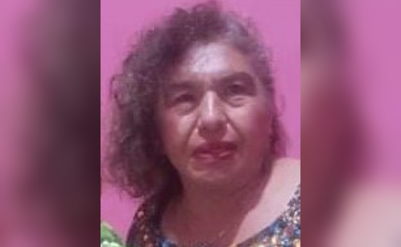 Reportan a mujer desaparecida en Pedregal de Santa Julia