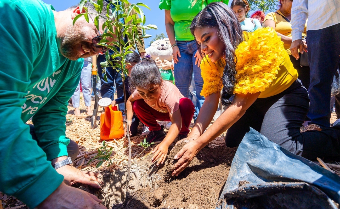 Logra Ayuntamiento de Tijuana plantar 100 mil árboles con el programa "Sembrando Vida"