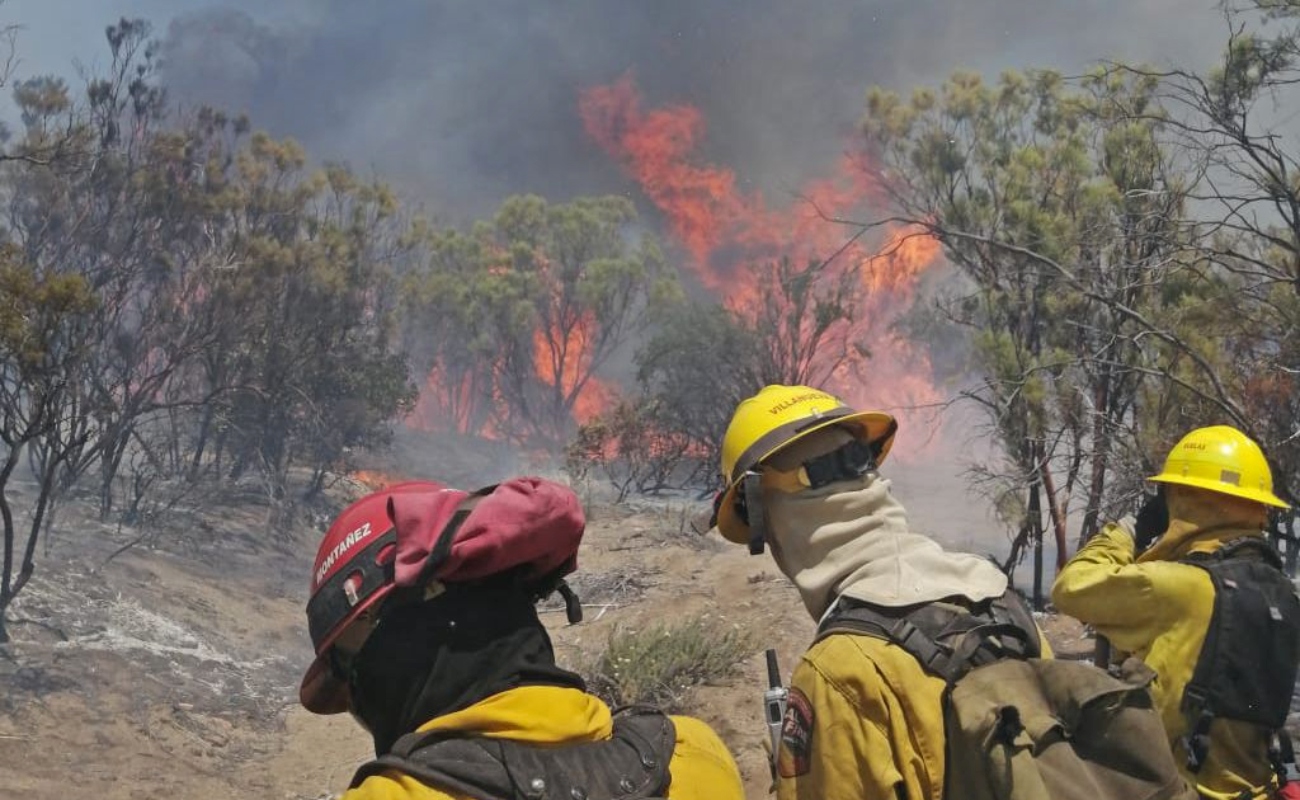 Atienden Bomberos de Ensenada tres incendios forestales
