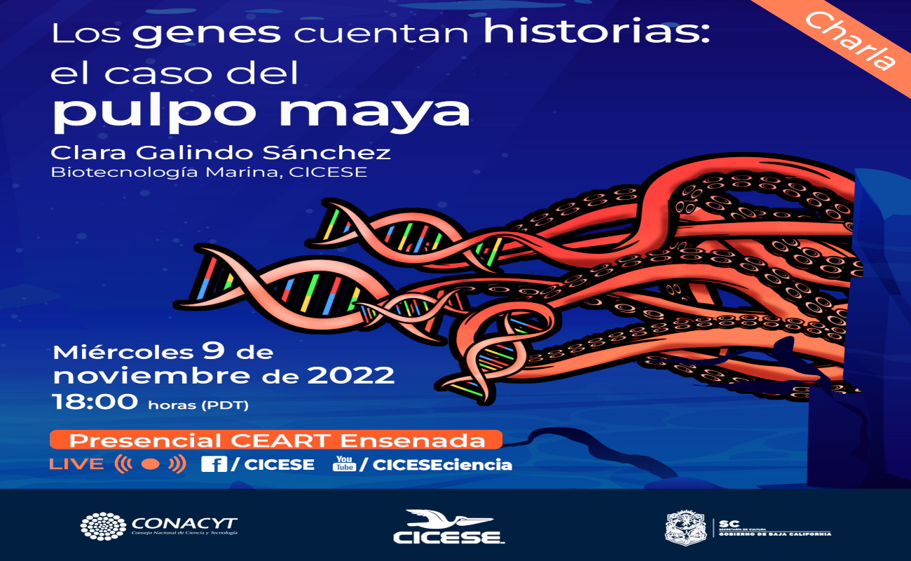 Presentará CICESE charla de divulgación “Los genes cuentan historias: el caso del pulpo maya”