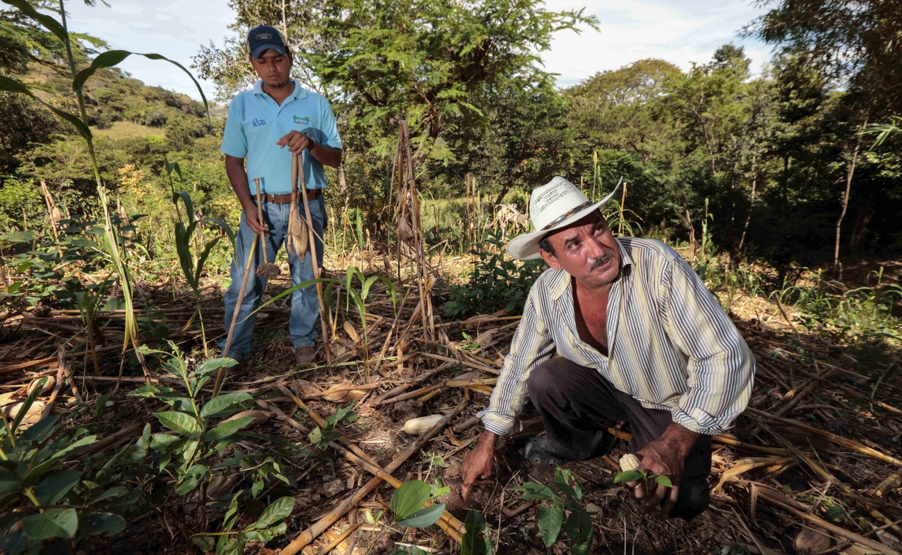 Impulsa Agricultura acciones para el cuidado de los suelos agrícolas