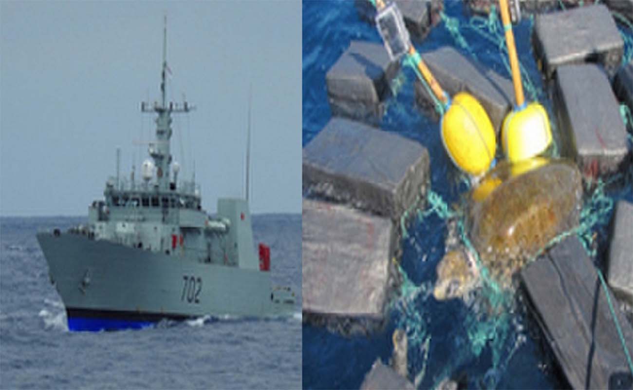 Rescatan a tortuga marina enredada entre 800 kilos de cocaína