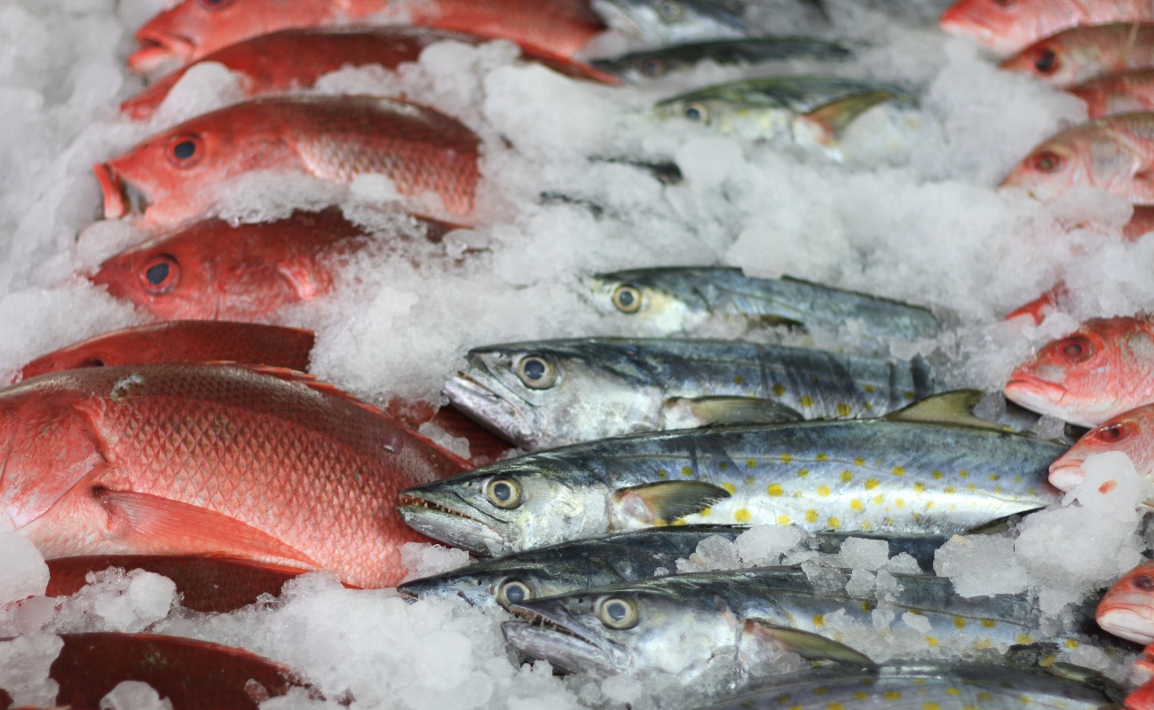 Garantizado el abasto de pescados y mariscos de producción nacional para la Cuaresma