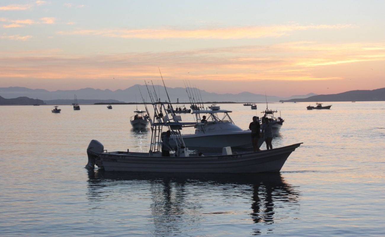 Impulsarán “Copa Baja California” de Pesca Deportiva y “Cocina Baja”, la actividad económica de BC
