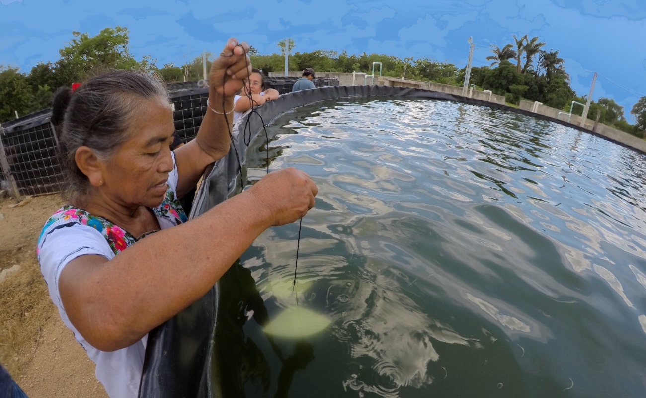 Ganan dos empresas ensenadenses Premio a la Pesca y Acuacultura Sustentables 2019