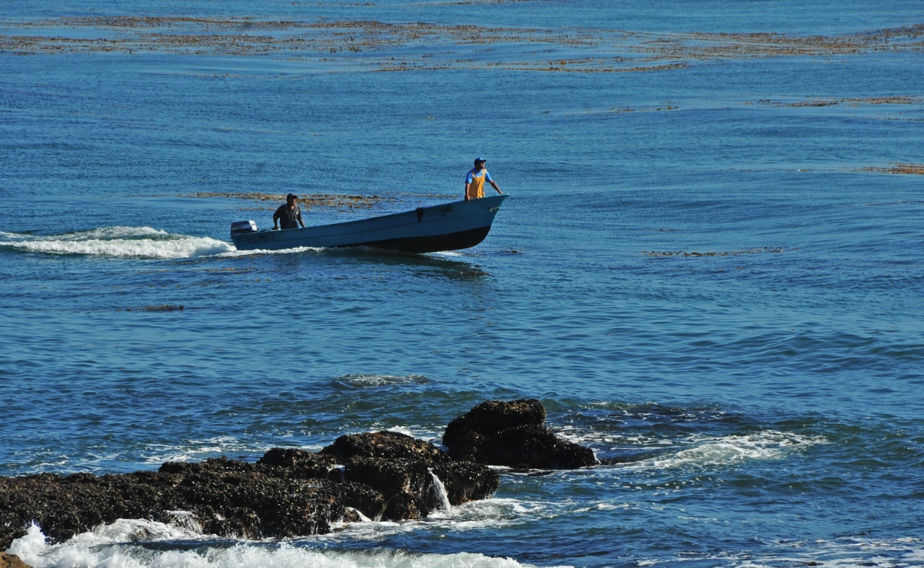 Ofrecerán capacitación a pescadores ribereños y deportivos de Ensenada