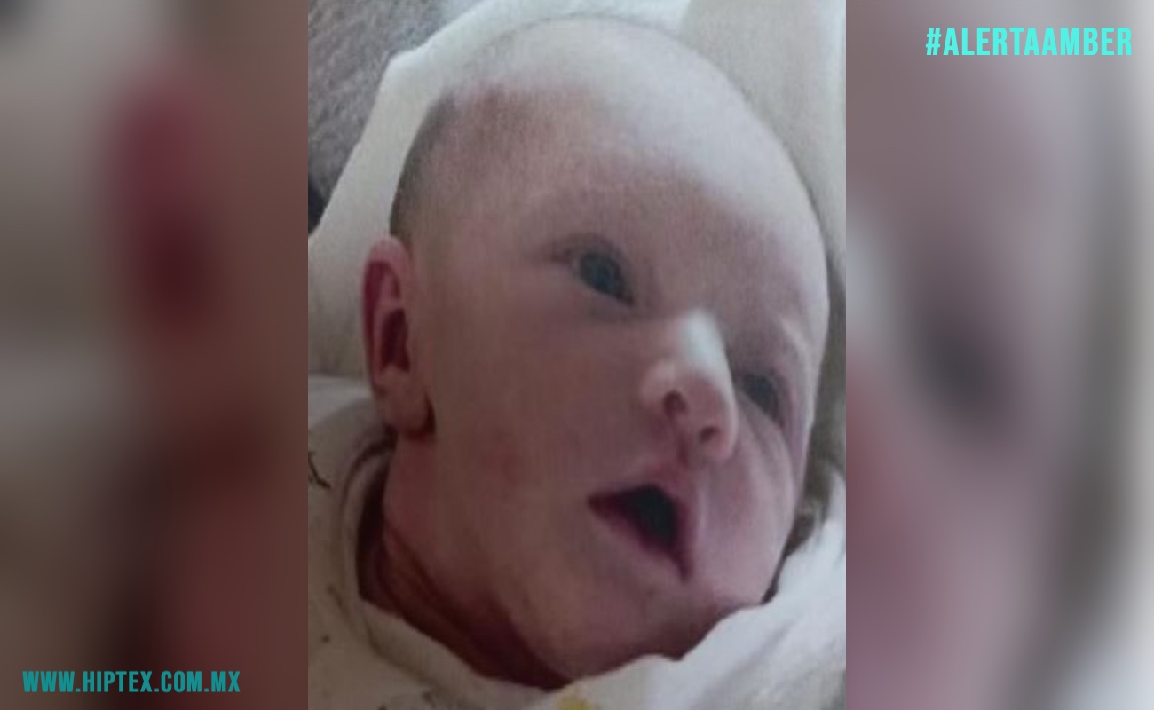 Sigue desaparecida bebé de siete meses, cuya madre fue hallada asesinada en una hielera