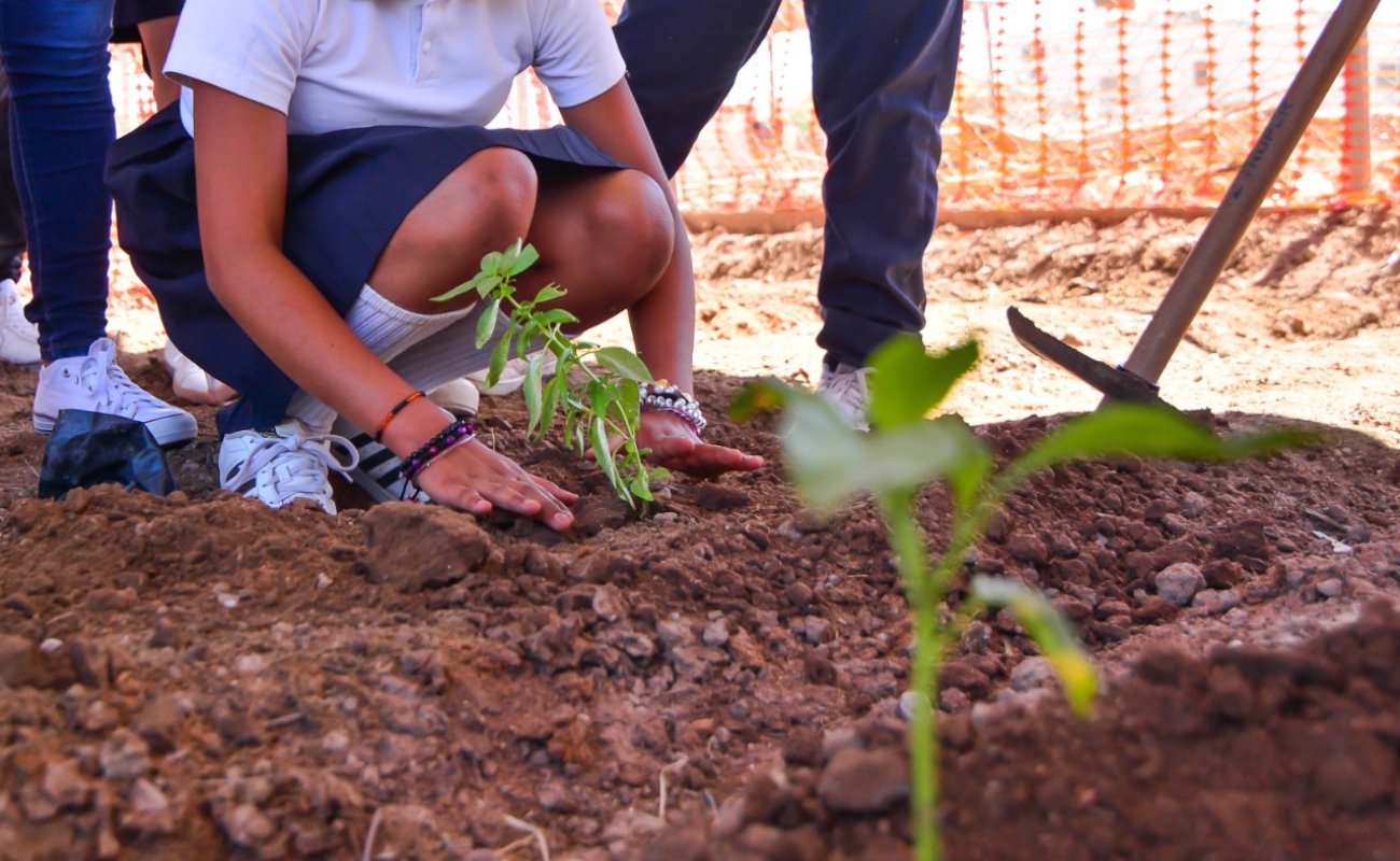 Impulsan en Baja California generación de huertos escolares