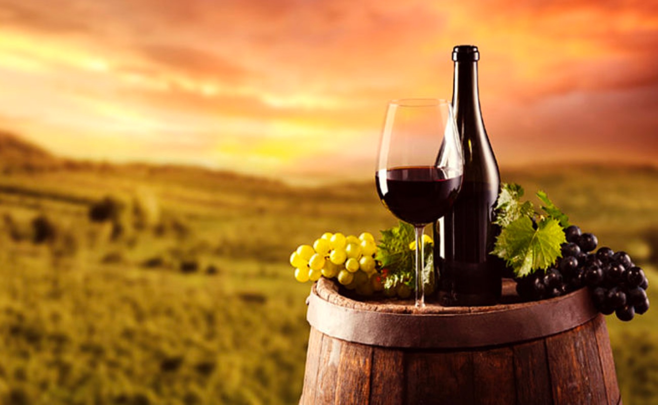 Presentan iniciativa de ley de fomento a la actividad vitivinícola de BC