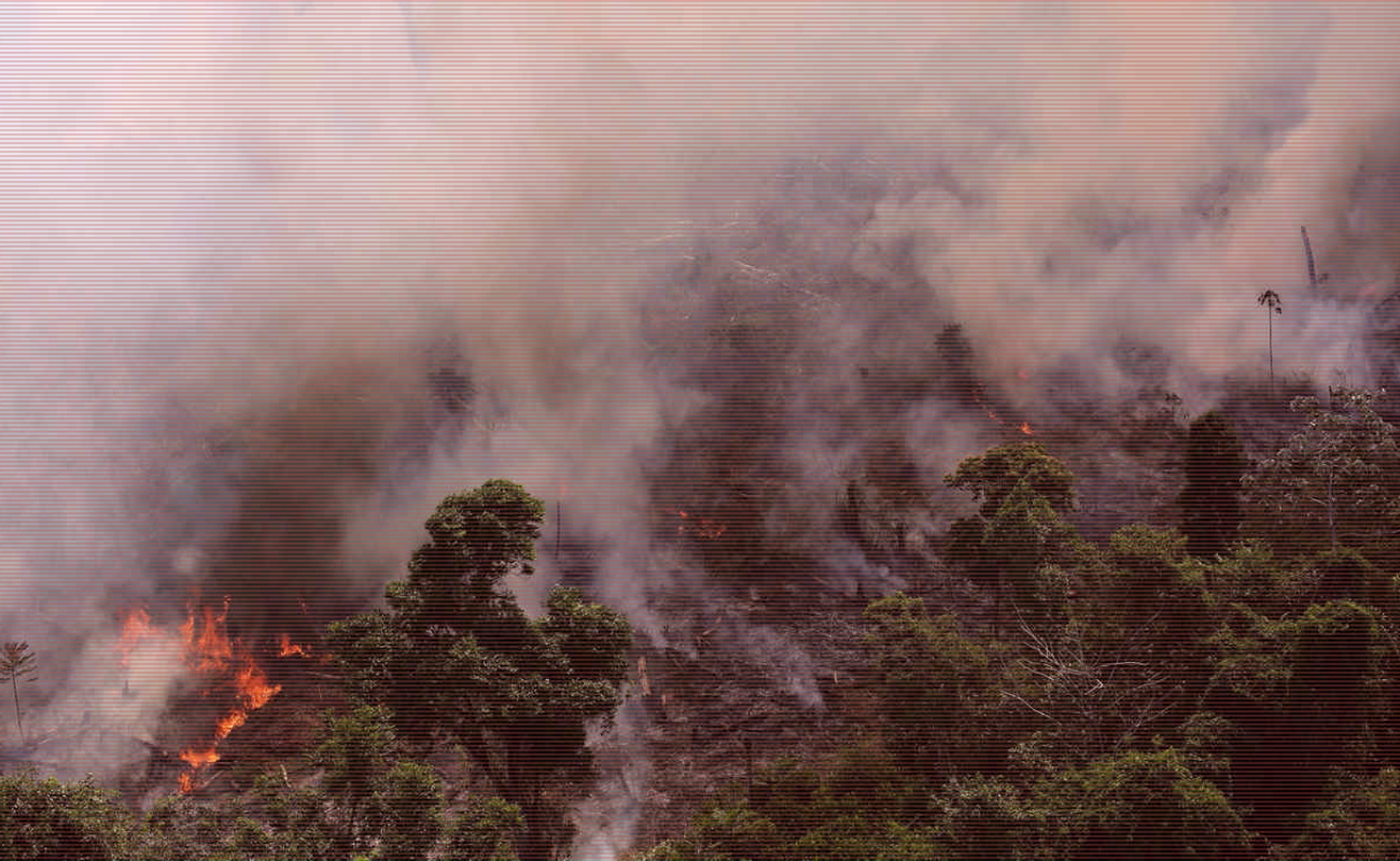 Se expande fuego en Amazonas, alistan protestas en varios países